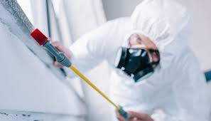 Professional Pest control in Round Lake Heights, IL